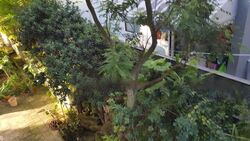 Braddell Heights Estate (D13), Detached #461327441